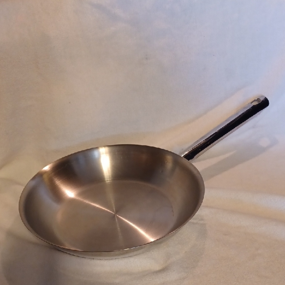 Stainless Steel Frying Pan, Skillet 18/10 Tramontina Made In Brasil, 10 Inch